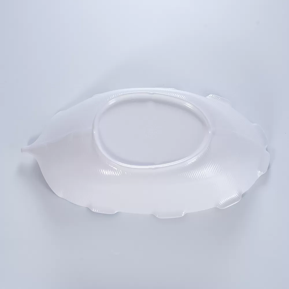Dry ice tray 